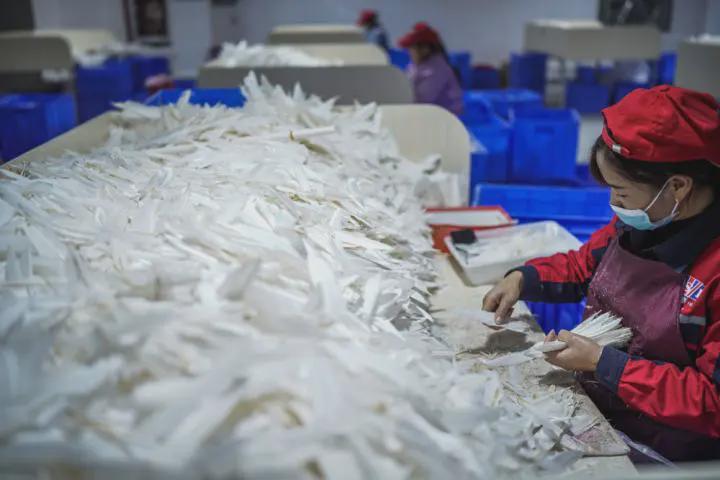 MK体育-去年涨价3次,今年突然集体降价!多个品牌陆续宣布,网友:再等等,还会降